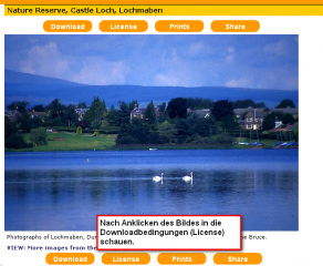 freefoto_bildlizenz.png